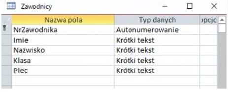 typy póla baza danych Zawodnicy